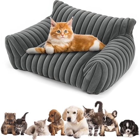 Lit pour chien lavable : matériau doux, canapé confortable pour chien lavable avec canapé orthopédique amovible, panier pour chien pour la maison, petits chiens et chats (60 × 45 × 20 cm, gris) (1/5)