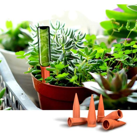 Riego Automático En Arcilla - Regador De Arcilla Porosa Para Plantas De Interior Y Exterior - Adaptador Roscado Para Botellas De Vidrio O Plástico - 6 Unidades (1/5)
