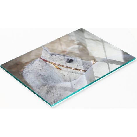Tabla de cocina de vidrio duradera y elegante con estampado de caballo árabe, 80x52 cm. (1/5)