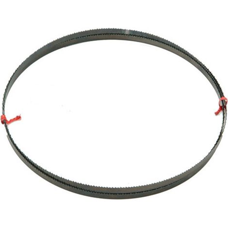 Lama per sega a nastro DW738/DW739 2095mm DEWALT DT8481-QZ larghezza 12mm