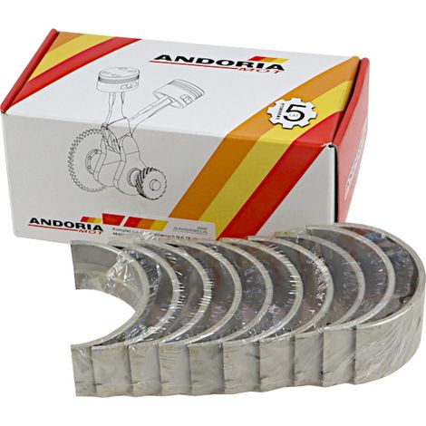Hauptlagersatz Andoria Ursus C-360 Zetor N-0.75 (III Schleifung) 46401023 90030253 (1/5)
