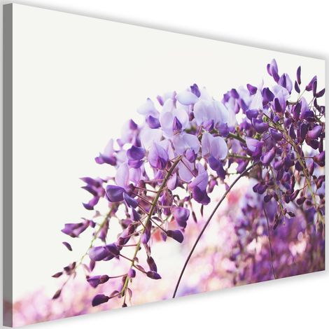Tableau sur toile Glycine Fleurs Nature 90x60 (1/5)