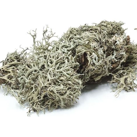 BioGrey Flechten 25g (1/5)