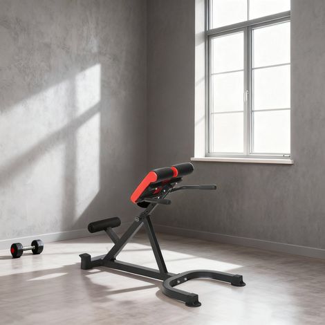 Banc de Musculation Réglable 5 Niveaux, Chaise Romaine avec Rouleaux en Mousse Dense, 112 x 62 x 88 cm, Noir et Rouge (1/5)