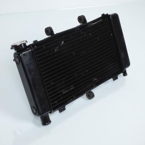 [PRODUIT D'OCCASION] Radiateur de refroidissement origine pour Moto Yamaha 600 FZ6 (1/5)