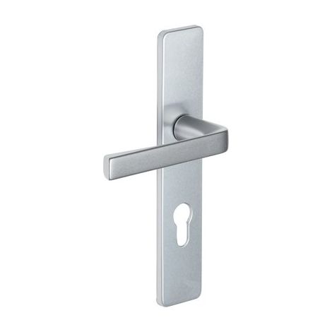 Vachette – Poignée de porte d'entrée clé I – Béquille double – Entraxe 195 mm – Finition gris argent pour sécurité renforcée (1/10)