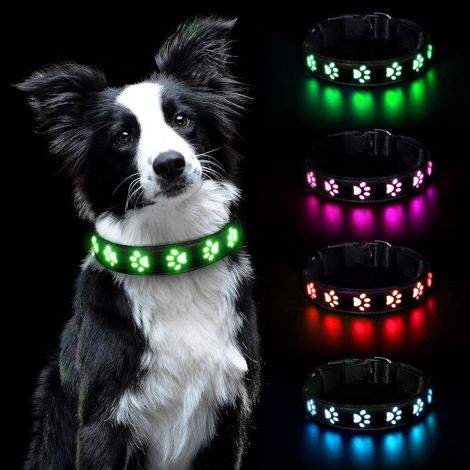 Collier lumineux pour chiens – Rechargeable et étanche – Visibilité 500m – Nylon et cuir PU – Taille S (30-40 cm) – Modes d'éclairage 6 couleurs (1/5)