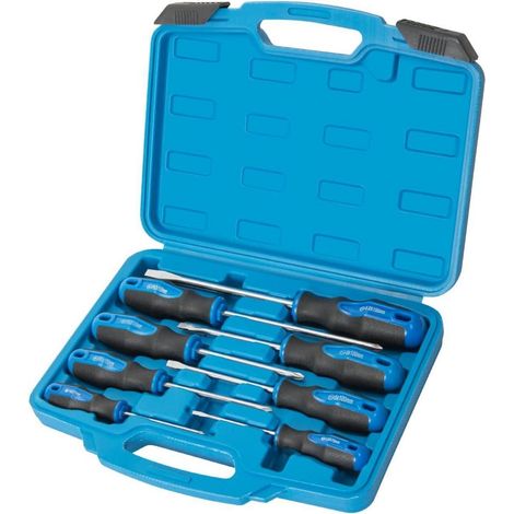 8-teiliges magnetisches Schraubendreher-Set mit Nichromspitze und Chrom-Vanadium-Stahl (1/5)