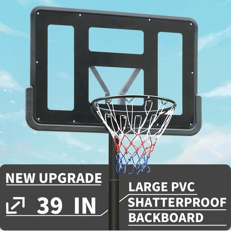 Panier de basket réglable 198-305 cm mobile noir HAVRYA (1/3)