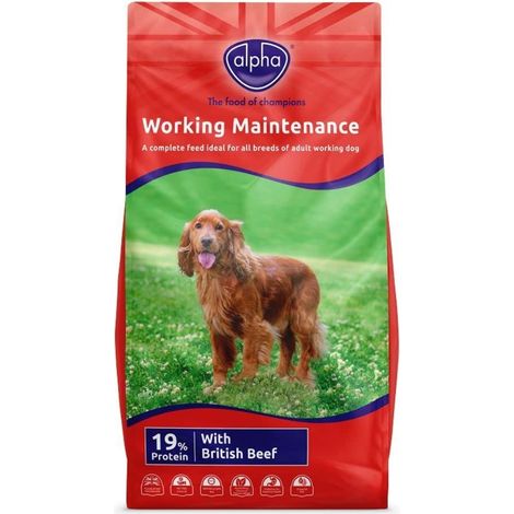Alpha Adult Worker Maintenance - 15kg - 538027