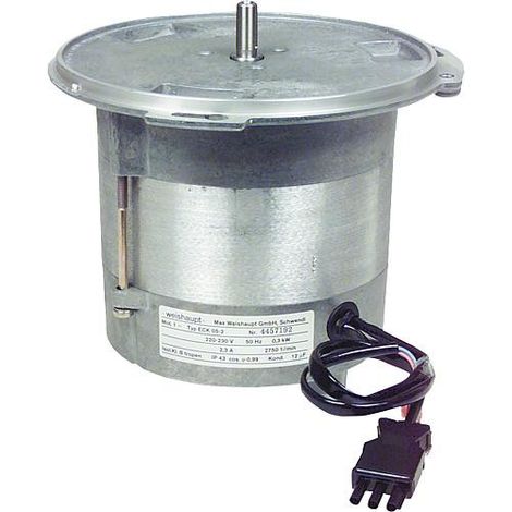 Moteur de bruleur V Upm, WL 30-A 241 300 0709/0 BG