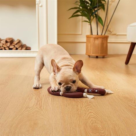 Squeaky Pet Play Toy Brings Fun and Promotes Healthy Growth for Dogs