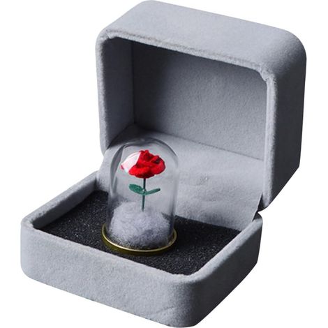 Rose Éternelle sous Cloche en Verre avec Socle en Métal Lisse, Fleur Préservée Rouge, Coffret Présent de Saint-Valentin, Décoration Intérieure Romantique pour Anniversaire et Fête (1/5)