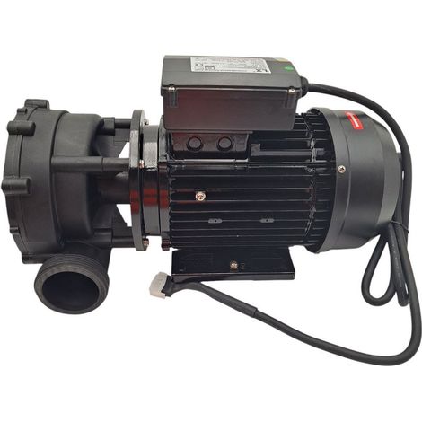 Ricambio pompa WP250 2V 220/240V 50HZ spa Jacuzzi 930108654 (1/4)