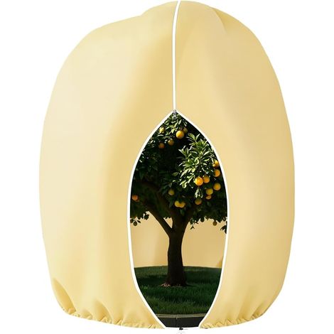 Voile Hivernage Plante Exterieur, 200x240cm Voile D'hivernage (1/5)