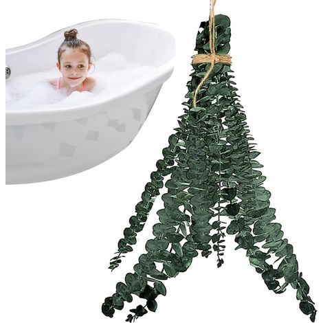 10 Pack Branches d'Eucalyptus Véritables Vertes, Décoration Naturelle pour Salle de Bain, Spa et Mariage (1/5)