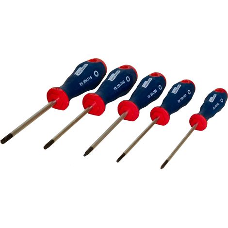 Echter Werkzeugfan Torx Schraubendreher-Satz 5 tlg. T10 - T30 Perfect Comfort (1/4)