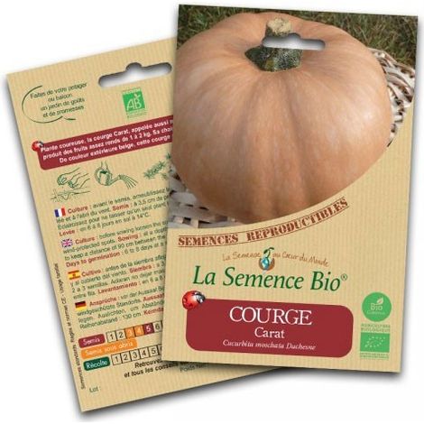 Graines bio Courge Carat - La Semence Bio