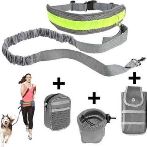(Gris)Laisse pour Chien - Nylon - Mains-libres - Ceinture Ventrale - Gris - 144 cm (1/4)