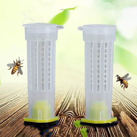 Lot de 4 cages à reines, en plastique, pour l'apiculture, cages de transport isolées Wang Tai. - AquaForge (1/3)