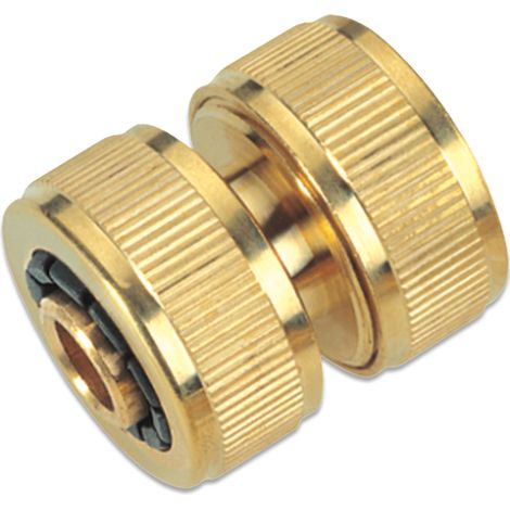 Bricoferr Réparateur de tuyau en laiton 19 mm