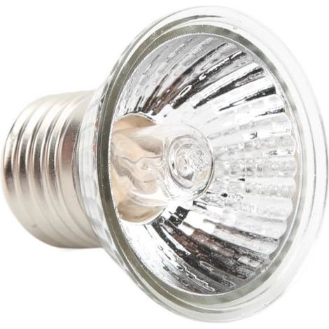 NEUF Ampoule chauffante pour reptiles Ampoule Chauffante Lampe Bain de Soleil Aquarium pour Reptiles Tortues 220‑240V 25W DQ FRANCE (1/4)