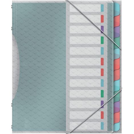 Trieur 12 Compartiments A4, Motif Texturé, PP Solide, Multicolore Trieur 12 compartiments A4, pochettes plastique transparent, motif texturé, polypropylène solide, multicolore. (1/5)