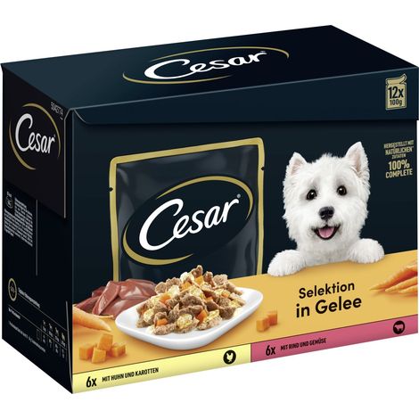 Cesar Hundenassfutter Selektion in Gelee Adult 12 x 100 g Huhn & Rind