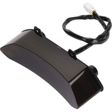 Rauchschwarze ABS-PC-LED-Rückleuchte, passend für Raptor 700R 2006-2018, von DEBUNS (1/5)