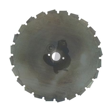 LAMA 24 DENTI REEF 1202252 COMPATIBILE UNIVERSALE
