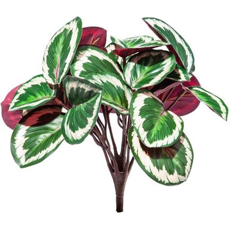 1 RAMO CALATHEA ORNATA ARTIFICIALE 33CM DECORAZIONE CASA INTERNI ESTERNI
