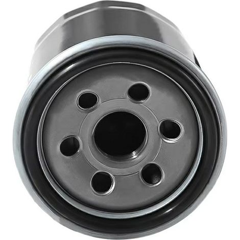 Filtre à huile 0180-011300-0B00 CF188-011300 pour CFMOTO (1/4)