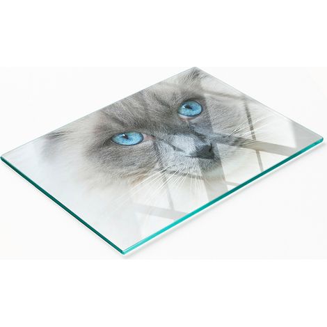 Tagliere decorativo in vetro temperato con occhi di gatto blu, 80x52 cm (1/5)