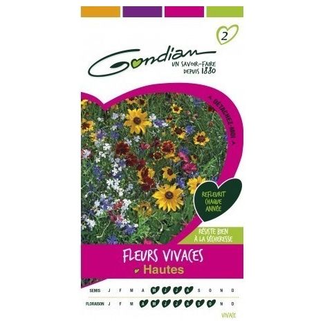 Gondian - Fleurs Vivaces Hautes Multicolore