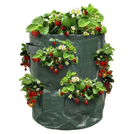 Erdbeerbeutel - Pflanzbeutel für Erdbeeren - X2