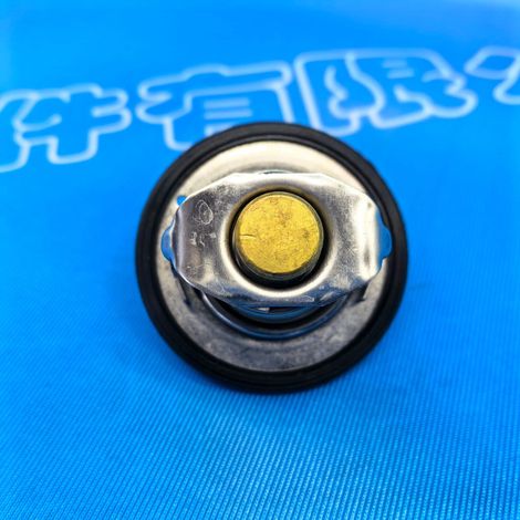 21230-6N200 and 21230-3RC0A are suitable for Nissan Infiniti thermostats and thermostats at 95 degrees Celsius. (1/4)