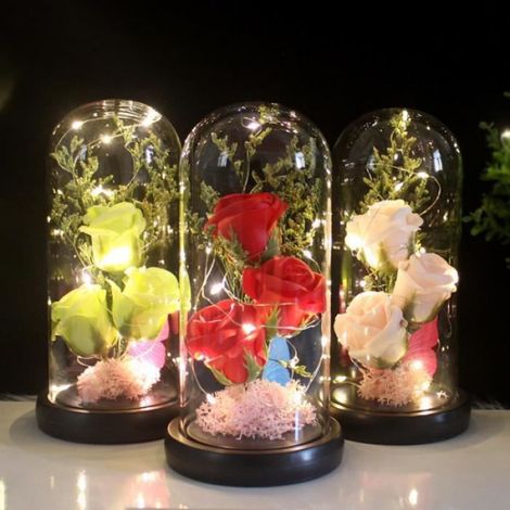Rose Eternelle - Sous Cloche En Verre - Lumières LED - Décoration Intérieure - 1 Pièce (1/4)