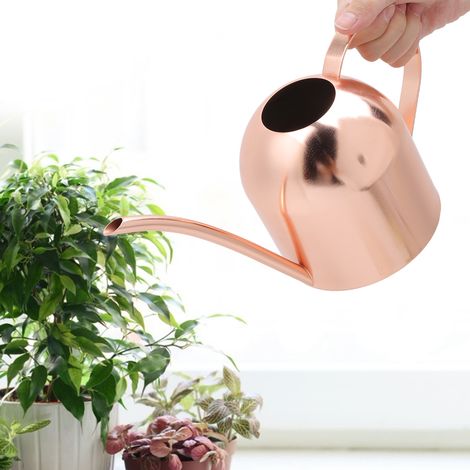 Arrosoir en acier inoxydable de 1000 ml, pot à large ouverture, pour fleurs et plantes de jardin. (1/5)