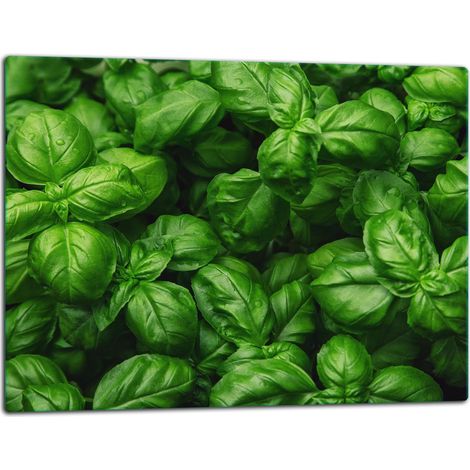 Tablero de corte de placa de vidrio 52x40 albahaca (1/5)