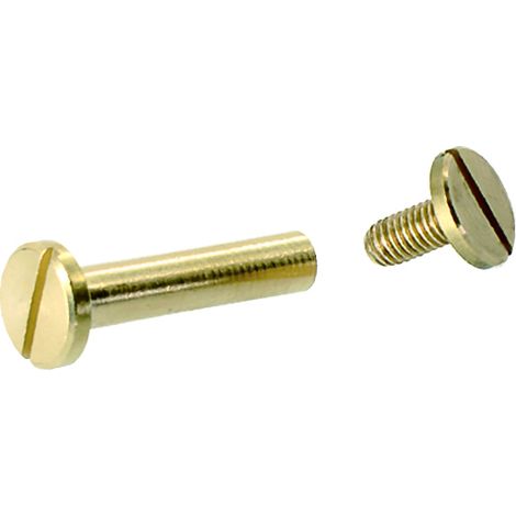 Vis de reliure en laiton de 10 mm, 2 piezas - Vynex