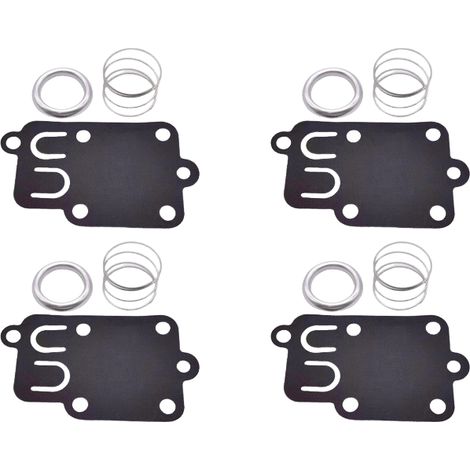 Passend für Reparatursets für Briggs & Stratton 270026, 272538, 272538S, 272637 und 415 (1/2)