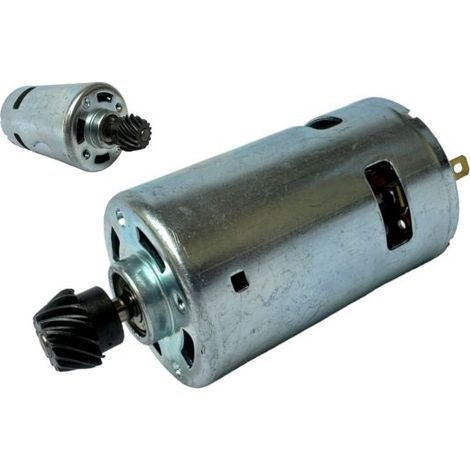 Motore Motorino Ricambio 12V per Abbacchiatore Scuotiolive Completo di Pignone (1/5)