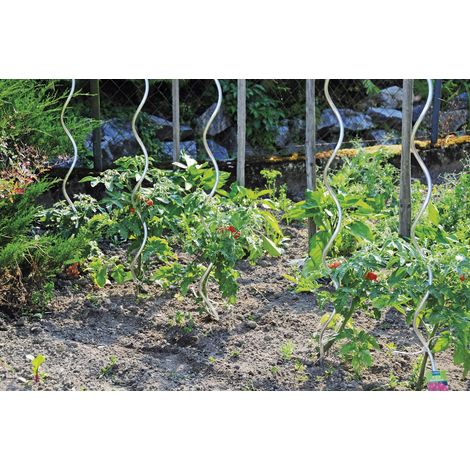 Gartenhaus zebra tomato spiral stake verzinkt 180 cm