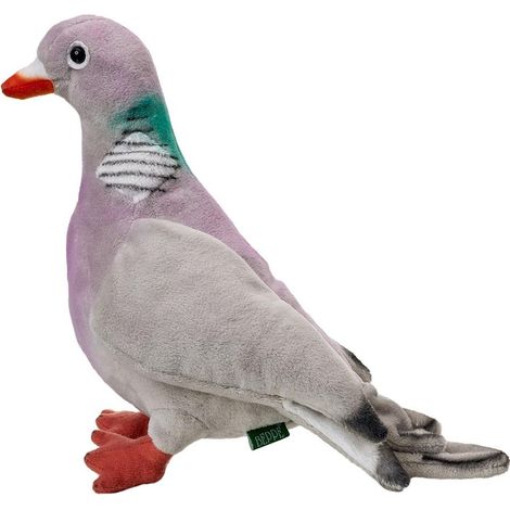 Piccione selvatico 20 cm