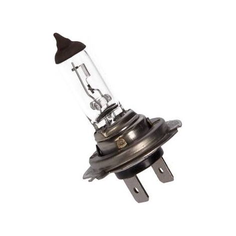 Ampoule, projecteur longue portée Magneti Marelli 002537100000 009600470000 (1/2)