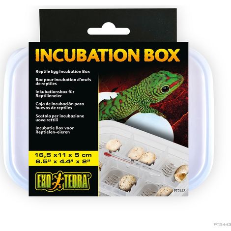 Exo Terra Caja Incubadora de Huevos