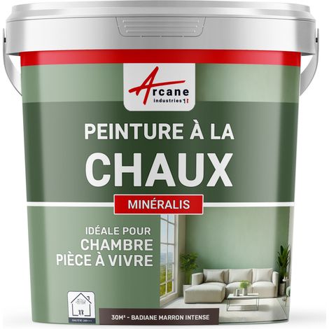 Peinture chaux, naturelle : peinture sans émanation, mineralis - 30 m² (5 kg en 1 couche) Badiane Marron Intense - ARCANE INDUSTRIES (1/5)