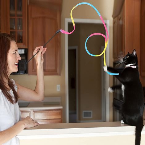 Giocattolo con bacchetta arcobaleno per gatti, 3 bacchette con nastro arcobaleno per l'addestramento dei gattini, bacchetta interattiva con nastro arcobaleno per gatti (28 cm) (1/4)