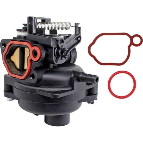 Carburateur Briggs & Stratton 675IS OHV 163cc – Compatible tondeuse BRAST avec joint et filtre (1/5)