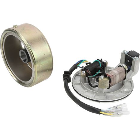 Kupfer- und Aluminium-Magnetstatorrotor-Kit für PIT PRO 90cc 110cc 125cc 140cc Kickstarter-Motoren (1/5)
